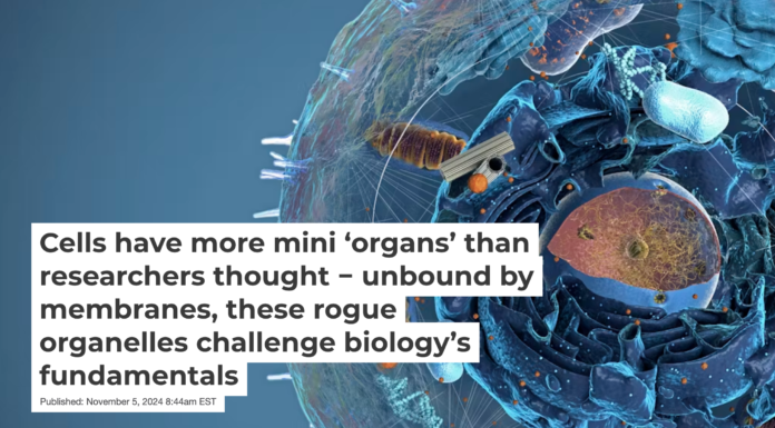 Specialized compartments within cells carry out specific functions. Christoph Burgstedt/Science Photo Library via Getty Images